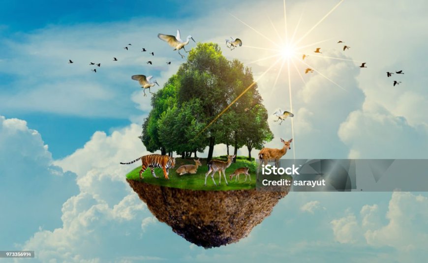 كيف تخلق بيئة محفزة حولك